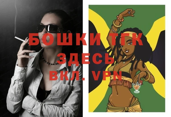 дживик Баксан