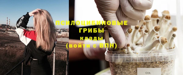 дживик Баксан